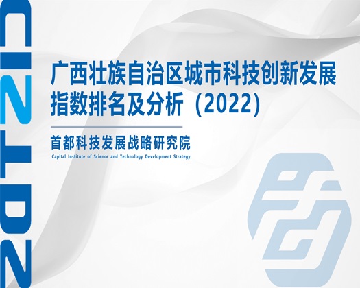 男人把肉棒插入女的小穴里视频【成果发布】广西壮族自治区城市科技创新发展指数排名及分析（2022）